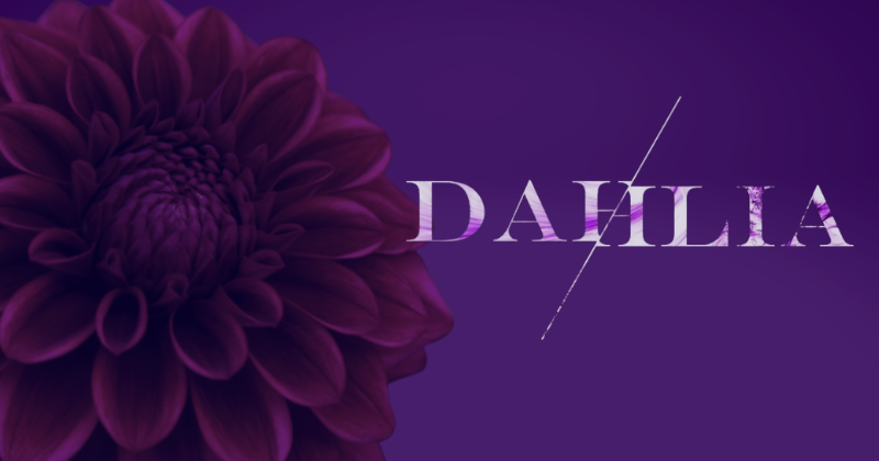 DAHLIA